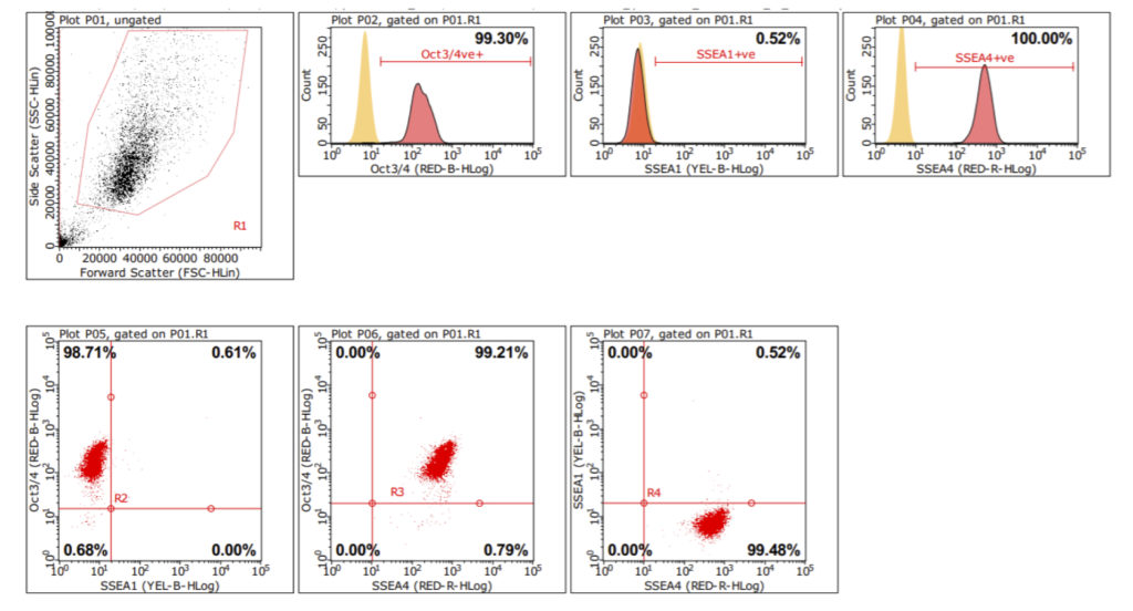 ipsc flow, pluripotent stem cell markers, ipsc markers,